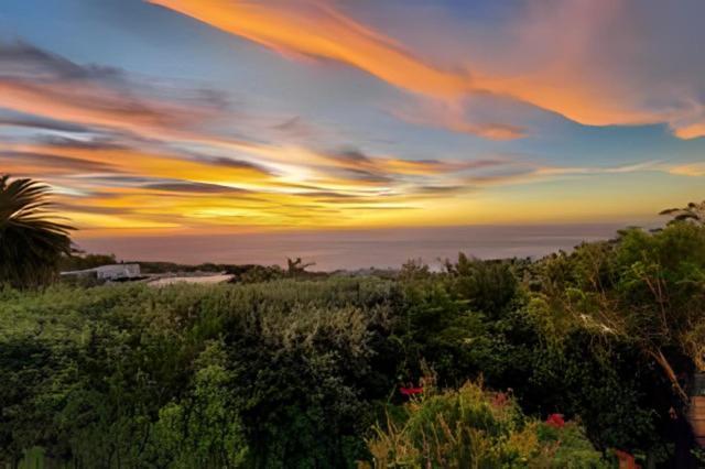 Cape Rose Cottage - Penthouse In Camps Bay Kapské Město Exteriér fotografie